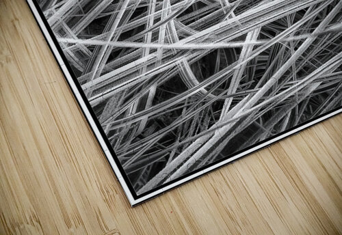 V1129 Natalie Stanislavsky puzzle