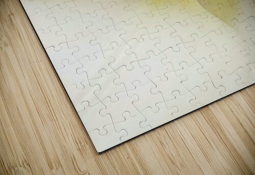 V1130 Natalie Stanislavsky puzzle