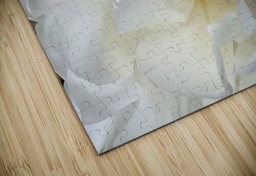V1145 Natalie Stanislavsky puzzle