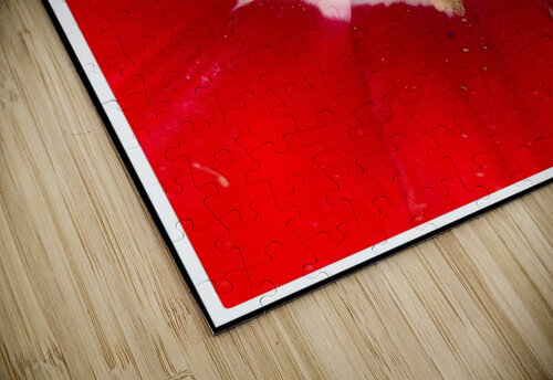 V1147 Natalie Stanislavsky puzzle