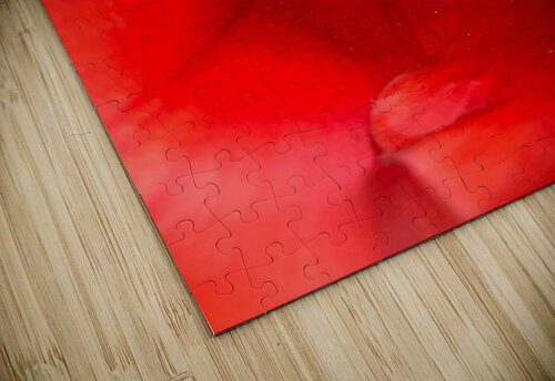V1150 Natalie Stanislavsky puzzle