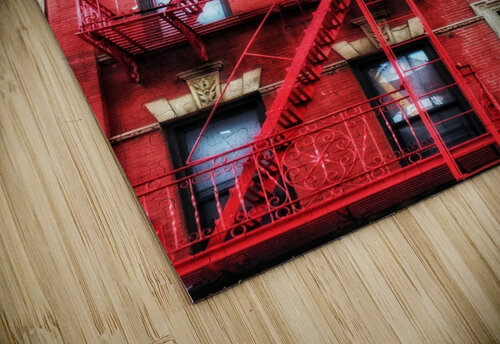 V1153 Natalie Stanislavsky puzzle