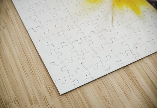 V1161 Natalie Stanislavsky puzzle