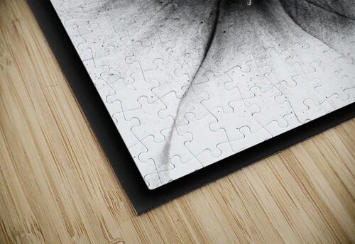 V1165 Natalie Stanislavsky puzzle