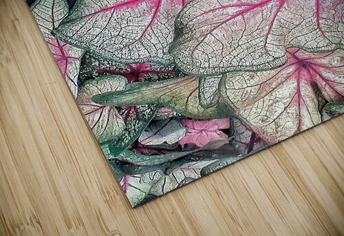 V1170 Natalie Stanislavsky puzzle
