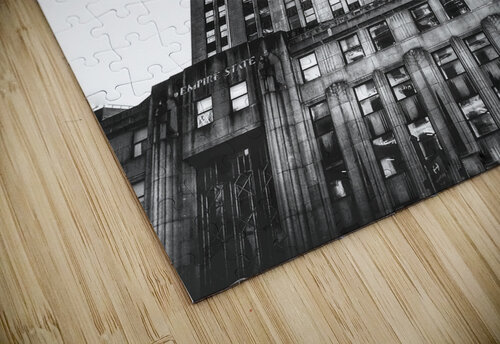 V1172 Natalie Stanislavsky puzzle