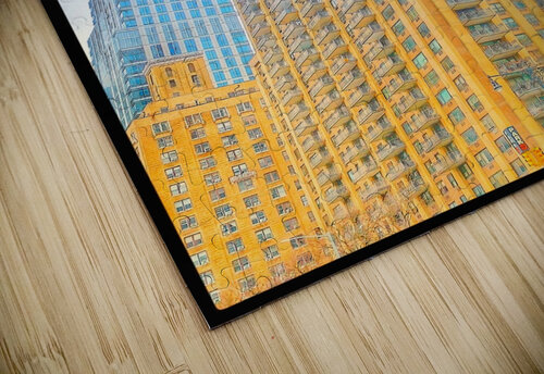 V1188 Natalie Stanislavsky puzzle