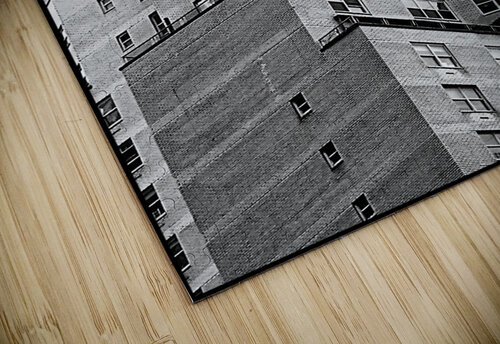V1191 Natalie Stanislavsky puzzle