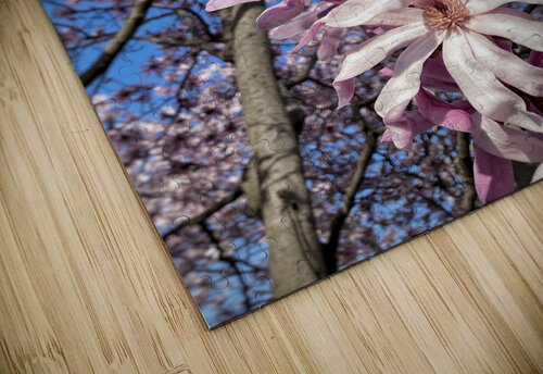 V1193 Natalie Stanislavsky puzzle