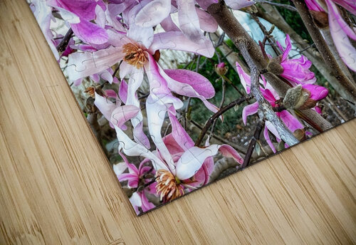 V1196 Natalie Stanislavsky puzzle