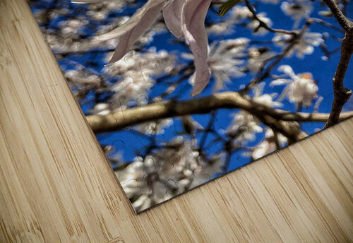 V1203 Natalie Stanislavsky puzzle