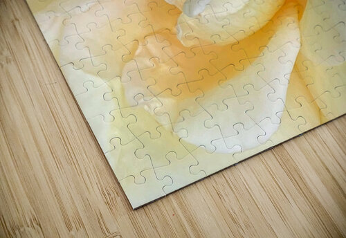 V1207 Natalie Stanislavsky puzzle