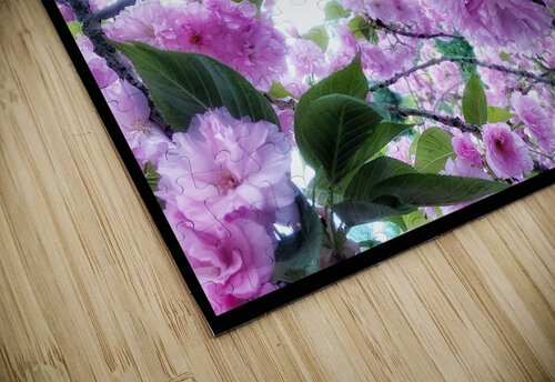V1208 Natalie Stanislavsky puzzle