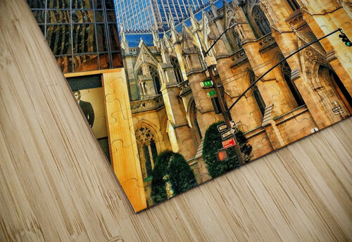 V1235 Natalie Stanislavsky puzzle