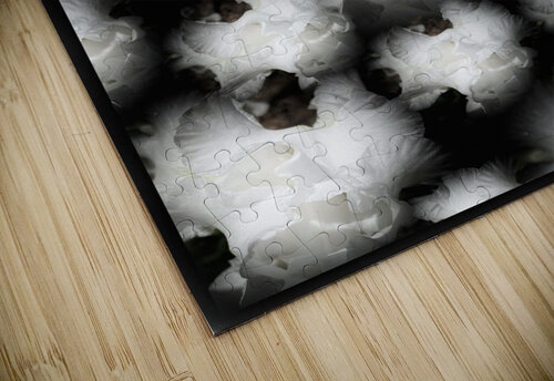 V1246 Natalie Stanislavsky puzzle