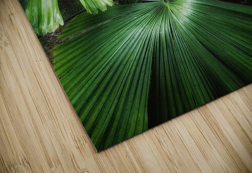 V1280 Natalie Stanislavsky puzzle