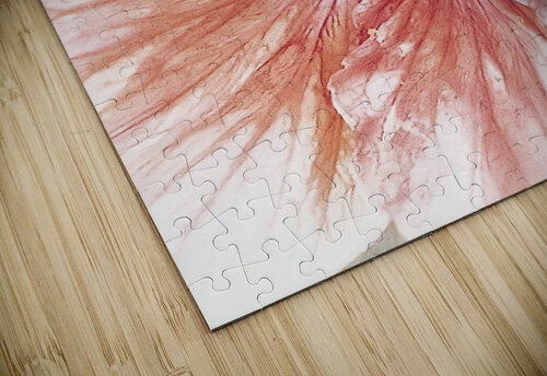 V1285 Natalie Stanislavsky puzzle