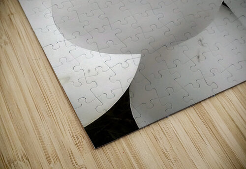 V1295 Natalie Stanislavsky puzzle