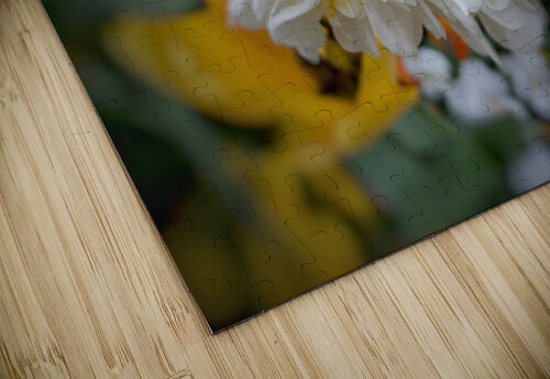 V1296 Natalie Stanislavsky puzzle
