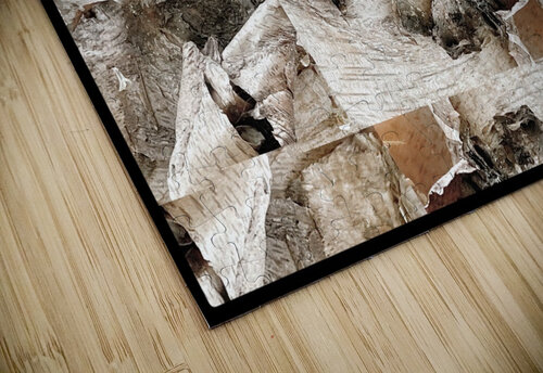 V1325 Natalie Stanislavsky puzzle