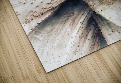 V1349 Natalie Stanislavsky puzzle