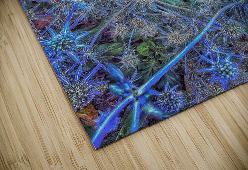 V1360 Natalie Stanislavsky puzzle
