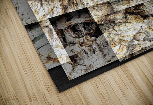 V1361 Natalie Stanislavsky puzzle