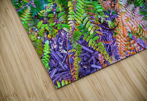 F1365 Natalie Stanislavsky puzzle