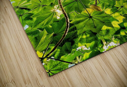 V1367 Natalie Stanislavsky puzzle