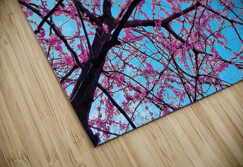 V1368 Natalie Stanislavsky puzzle