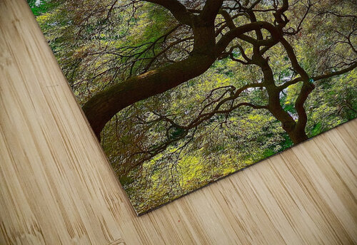 V1395 Natalie Stanislavsky puzzle