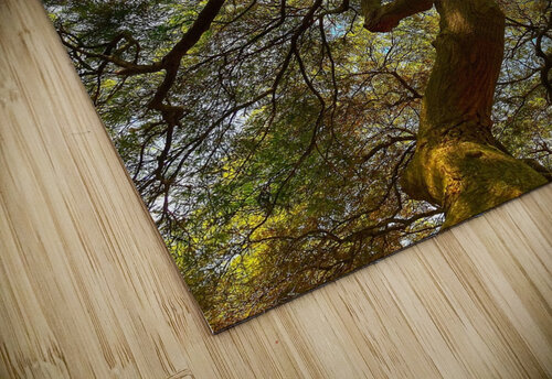 V1397 Natalie Stanislavsky puzzle
