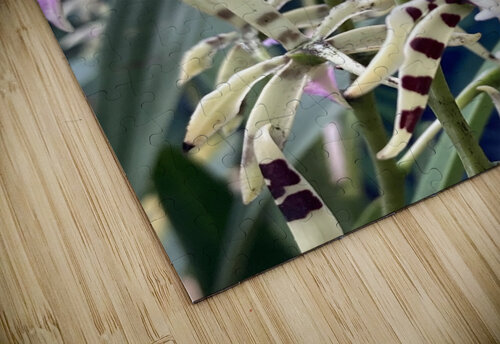 V1400 Natalie Stanislavsky puzzle