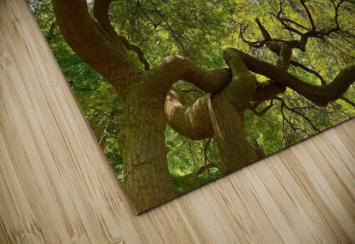 V1403 Natalie Stanislavsky puzzle