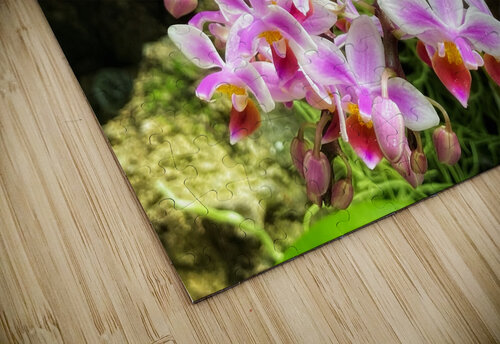 V1404 Natalie Stanislavsky puzzle