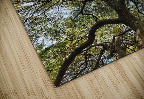V1405 Natalie Stanislavsky puzzle
