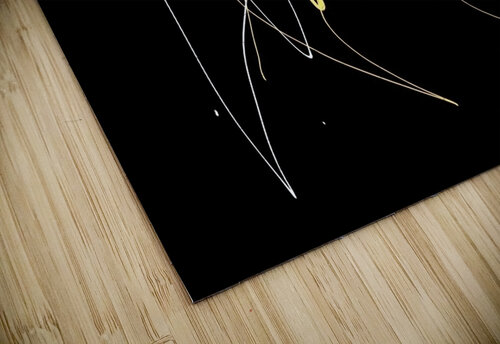 V1421 Natalie Stanislavsky puzzle