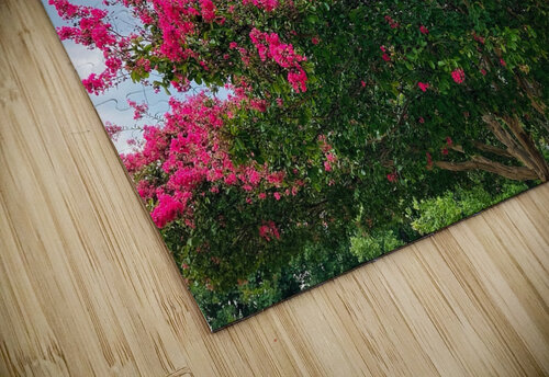 V1439 Natalie Stanislavsky puzzle