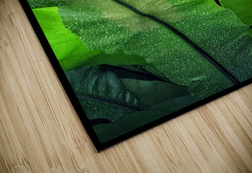 V1441 Natalie Stanislavsky puzzle