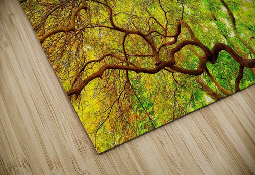 V1447 Natalie Stanislavsky puzzle