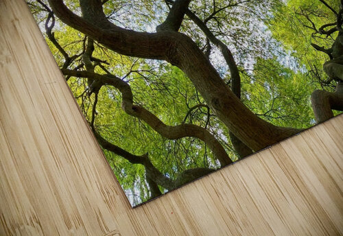 V1448 Natalie Stanislavsky puzzle