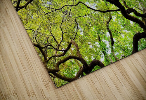 V1450 Natalie Stanislavsky puzzle