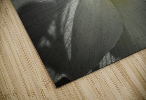 V1466 Natalie Stanislavsky puzzle