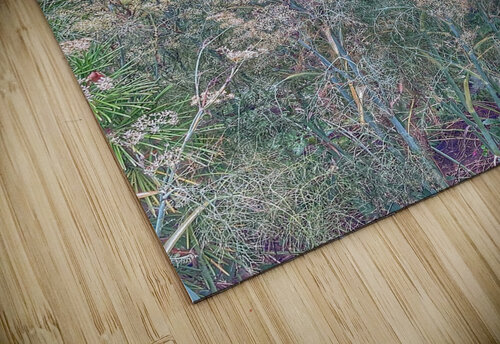 V1478 Natalie Stanislavsky puzzle
