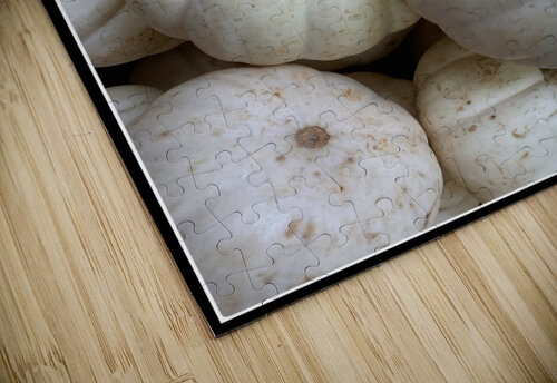 V1493 Natalie Stanislavsky puzzle