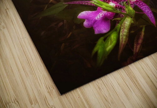 V1501 Natalie Stanislavsky puzzle