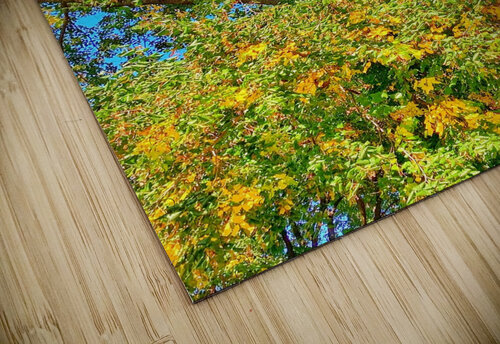 V1506 Natalie Stanislavsky puzzle