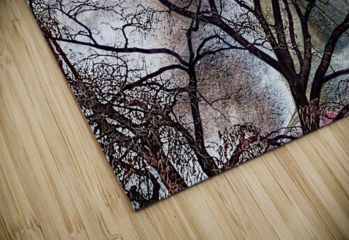 V1527 Natalie Stanislavsky puzzle