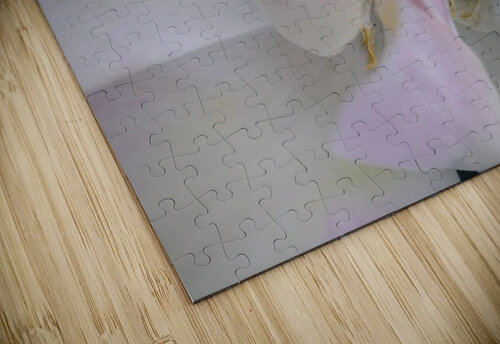 V1528 Natalie Stanislavsky puzzle