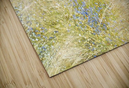 V1531 Natalie Stanislavsky puzzle